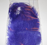 Ostridge  plumes  INTRUDER ����������   ������� ����� 